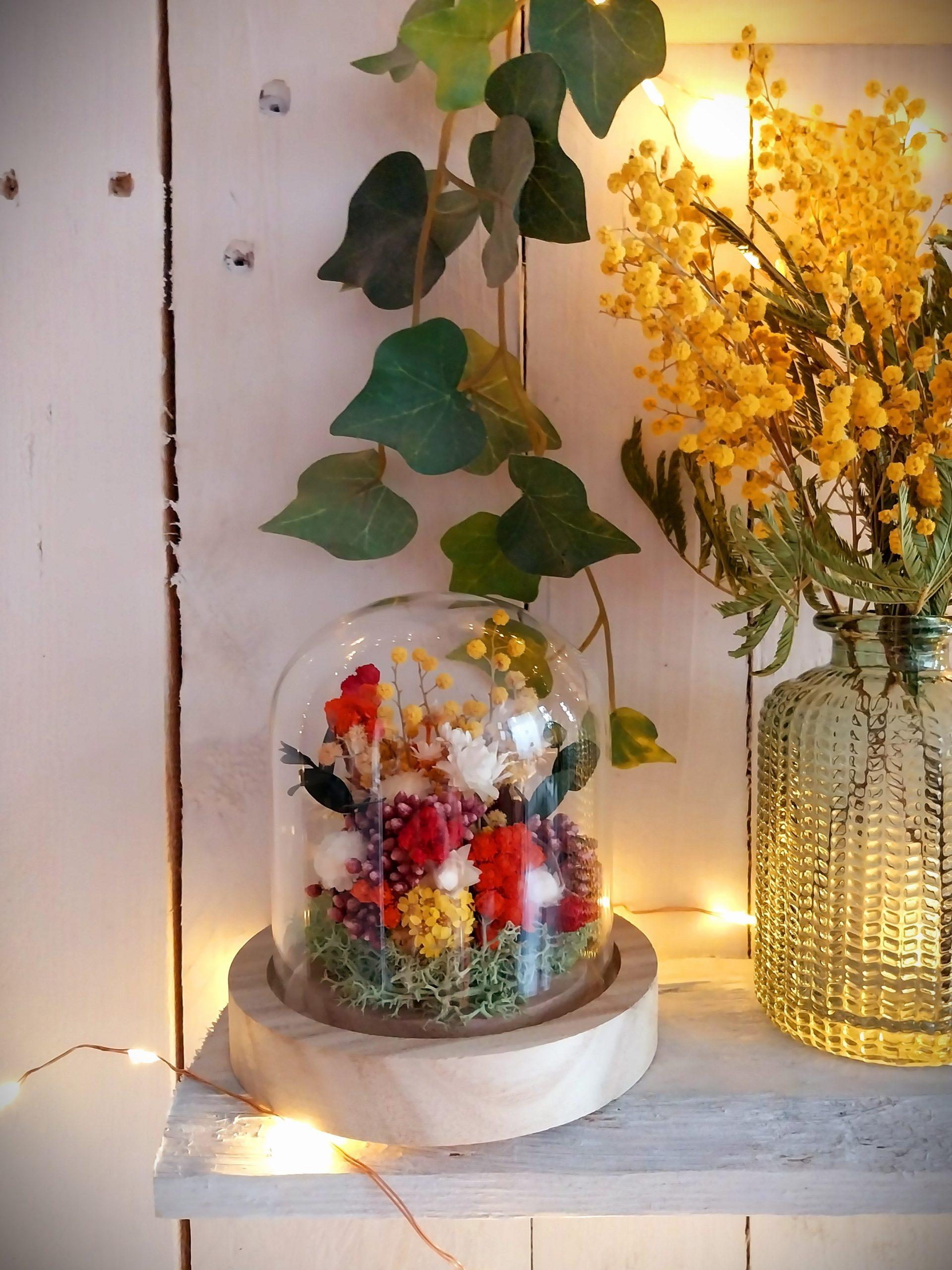 Petit jardin de fleurs séchées sous verre Mimosas