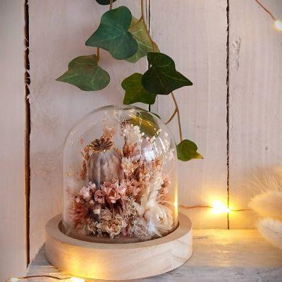 Petit jardin sous verre Pavot